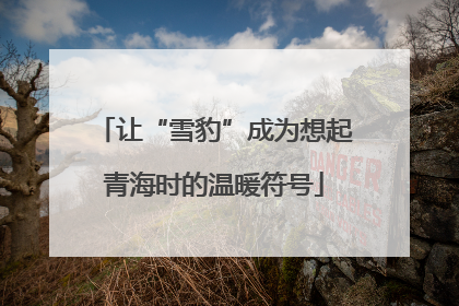 让“雪豹”成为想起青海时的温暖符号