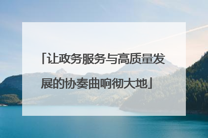 让政务服务与高质量发展的协奏曲响彻大地