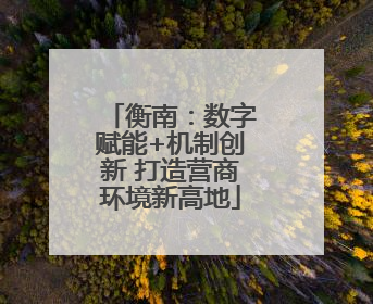 衡南：数字赋能+机制创新 打造营商环境新高地