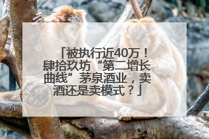 被执行近40万！肆拾玖坊“第二增长曲线”茅泉酒业，卖酒还是卖模式？