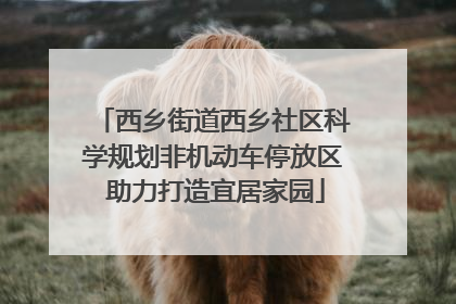 西乡街道西乡社区科学规划非机动车停放区 助力打造宜居家园