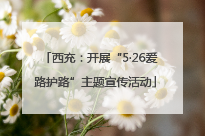 西充：开展“5·26爱路护路”主题宣传活动