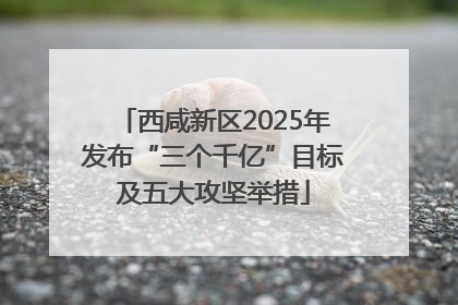 西咸新区2025年发布“三个千亿”目标及五大攻坚举措