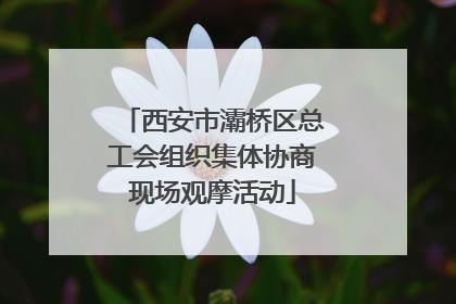 西安市灞桥区总工会组织集体协商现场观摩活动