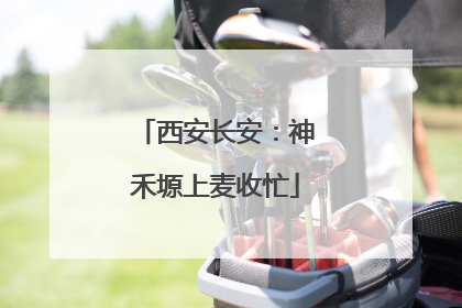 西安长安：神禾塬上麦收忙