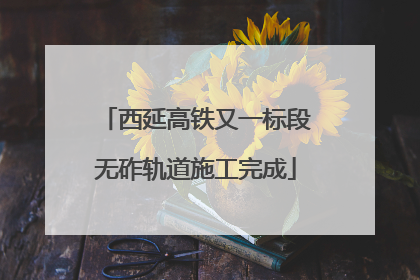 西延高铁又一标段无砟轨道施工完成