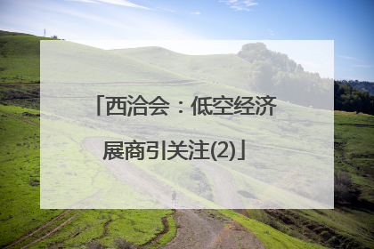 西洽会：低空经济展商引关注(2)