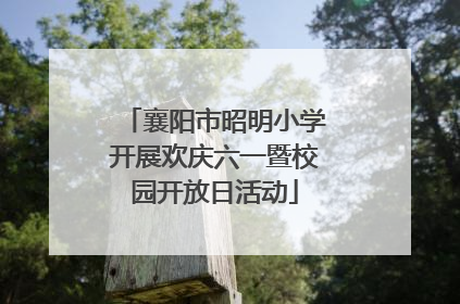 襄阳市昭明小学开展欢庆六一暨校园开放日活动