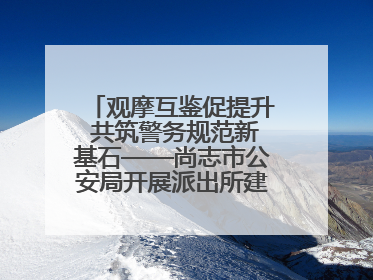 观摩互鉴促提升 共筑警务规范新基石——尚志市公安局开展派出所建设拉动观摩活动