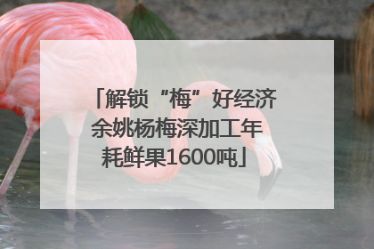 解锁“梅”好经济 余姚杨梅深加工年耗鲜果1600吨