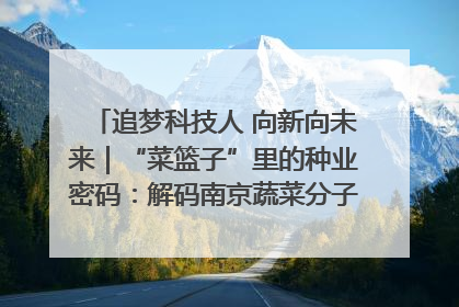 追梦科技人 向新向未来｜“菜篮子”里的种业密码：解码南京蔬菜分子育种的创新之路
