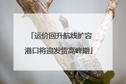 运价回升航线扩容 港口将迎发货高峰期