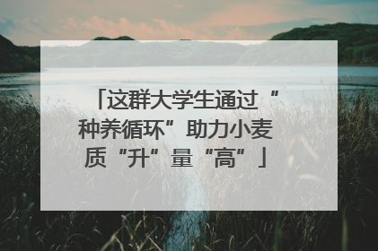 这群大学生通过“种养循环”助力小麦质“升”量“高”