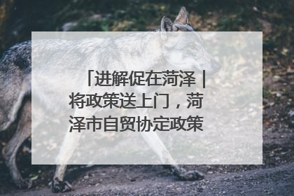 进解促在菏泽｜将政策送上门，菏泽市自贸协定政策专题宣讲会召开