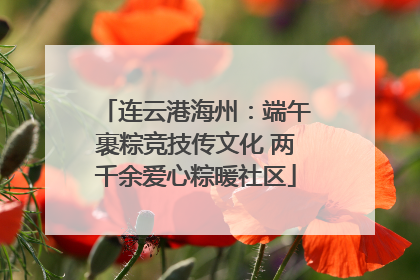 连云港海州：端午裹粽竞技传文化 两千余爱心粽暖社区