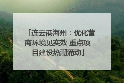 连云港海州：优化营商环境见实效 重点项目建设热潮涌动