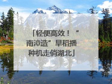 轻便高效！“南漳造”旱稻播种机走俏湖北