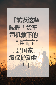 转发这条鲮鲤！货车司机救下的“胖宝宝”，是国家一级保护动物！