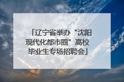 辽宁省举办“沈阳现代化都市圈”高校毕业生专场招聘会