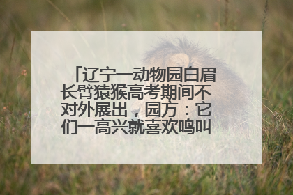 辽宁一动物园白眉长臂猿猴高考期间不对外展出，园方：它们一高兴就喜欢鸣叫，怕影响考试