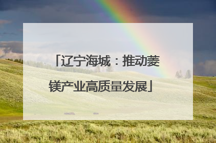 辽宁海城：推动菱镁产业高质量发展