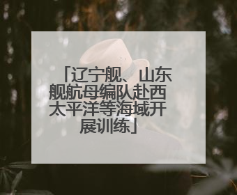 辽宁舰、山东舰航母编队赴西太平洋等海域开展训练