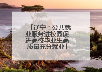 辽宁：公共就业服务进校园促进高校毕业生高质量充分就业