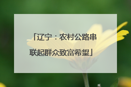 辽宁：农村公路串联起群众致富希望