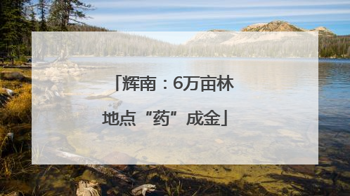 辉南：6万亩林地点“药”成金
