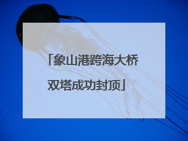 象山港跨海大桥双塔成功封顶