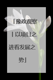 豫政观察丨以项目之进看发展之势