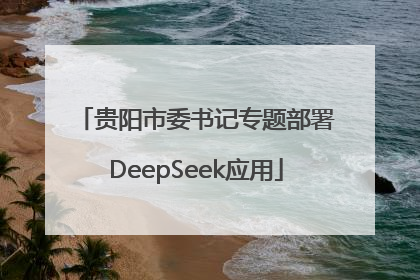 贵阳市委书记专题部署DeepSeek应用