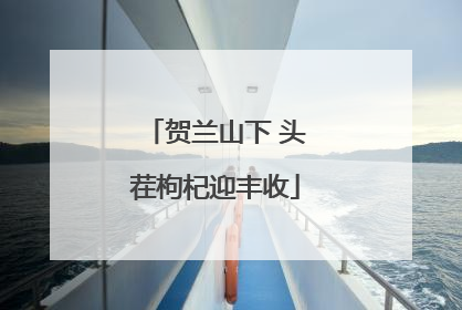 贺兰山下 头茬枸杞迎丰收