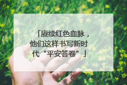 赓续红色血脉，他们这样书写新时代“平安答卷”
