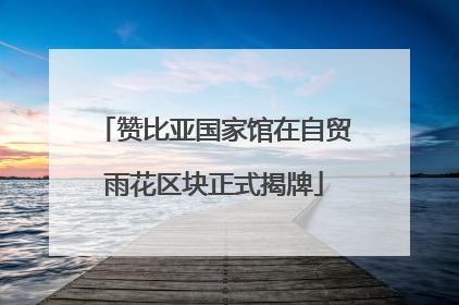 赞比亚国家馆在自贸雨花区块正式揭牌
