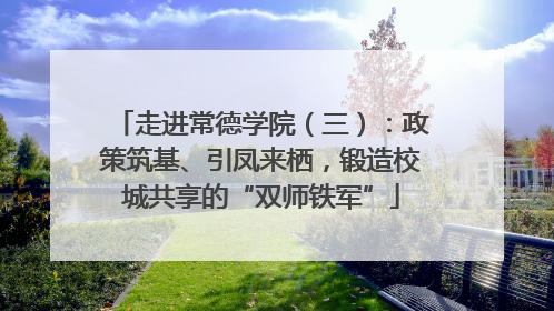 走进常德学院（三）：政策筑基、引凤来栖，锻造校城共享的“双师铁军”