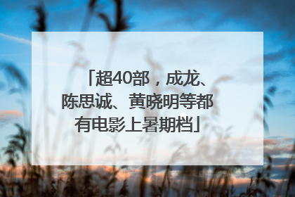 超40部，成龙、陈思诚、黄晓明等都有电影上暑期档