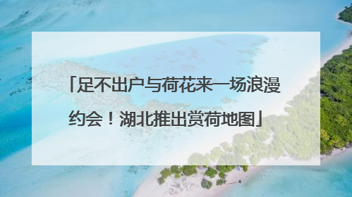 足不出户与荷花来一场浪漫约会！湖北推出赏荷地图
