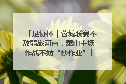足协杯｜蓉城联赛不敌弱旅河南，泰山主场作战不妨“抄作业”