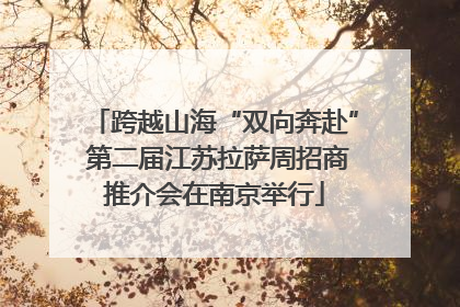 跨越山海“双向奔赴” 第二届江苏拉萨周招商推介会在南京举行