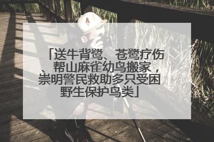 送牛背鹭、苍鹭疗伤、帮山麻雀幼鸟搬家，崇明警民救助多只受困野生保护鸟类
