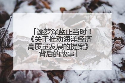 逐梦深蓝正当时！《关于推动海洋经济高质量发展的提案》背后的故事
