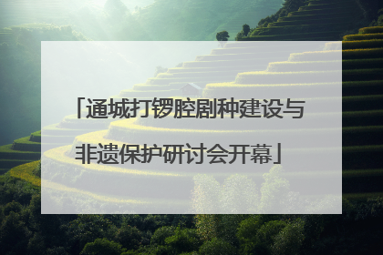 通城打锣腔剧种建设与非遗保护研讨会开幕