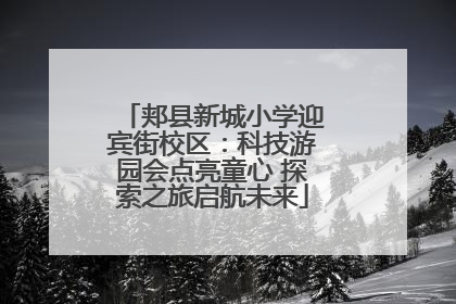 郏县新城小学迎宾街校区：科技游园会点亮童心 探索之旅启航未来