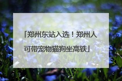 郑州东站入选！郑州人可带宠物猫狗坐高铁