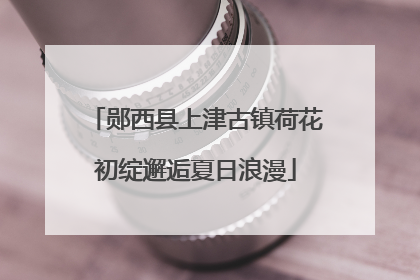 郧西县上津古镇荷花初绽邂逅夏日浪漫