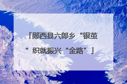 郧西县六郎乡“银茧”织就振兴“金路”