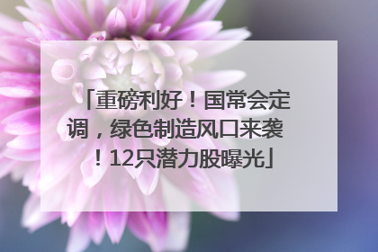 重磅利好！国常会定调，绿色制造风口来袭！12只潜力股曝光