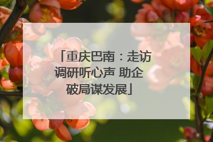 重庆巴南：走访调研听心声 助企破局谋发展