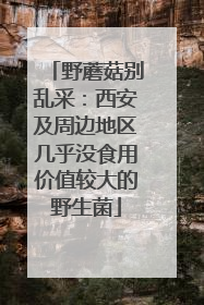 野蘑菇别乱采：西安及周边地区几乎没食用价值较大的野生菌